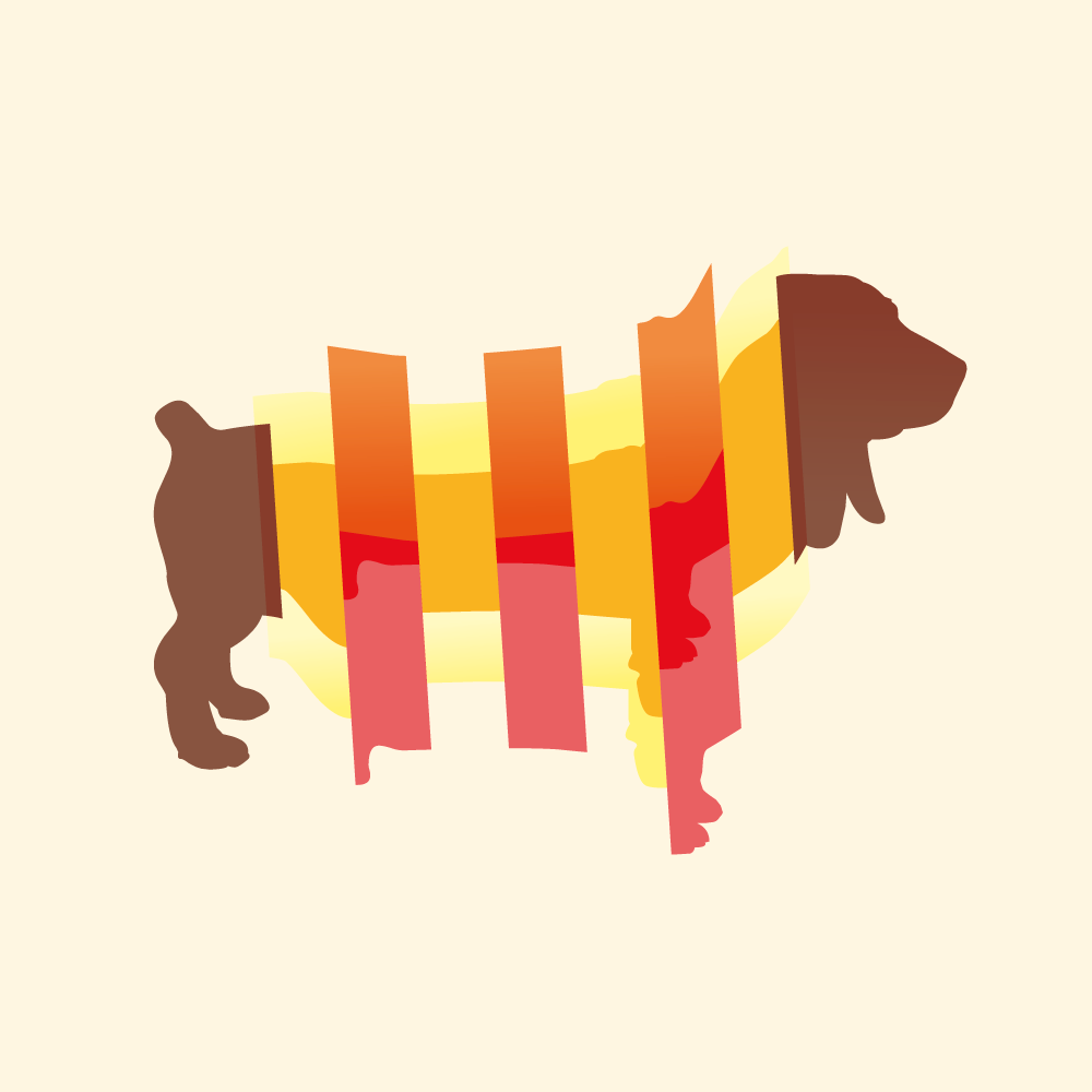 Equalizer