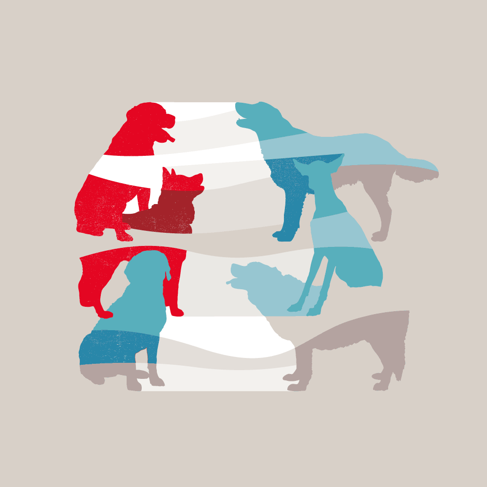 Good dog, bad dog