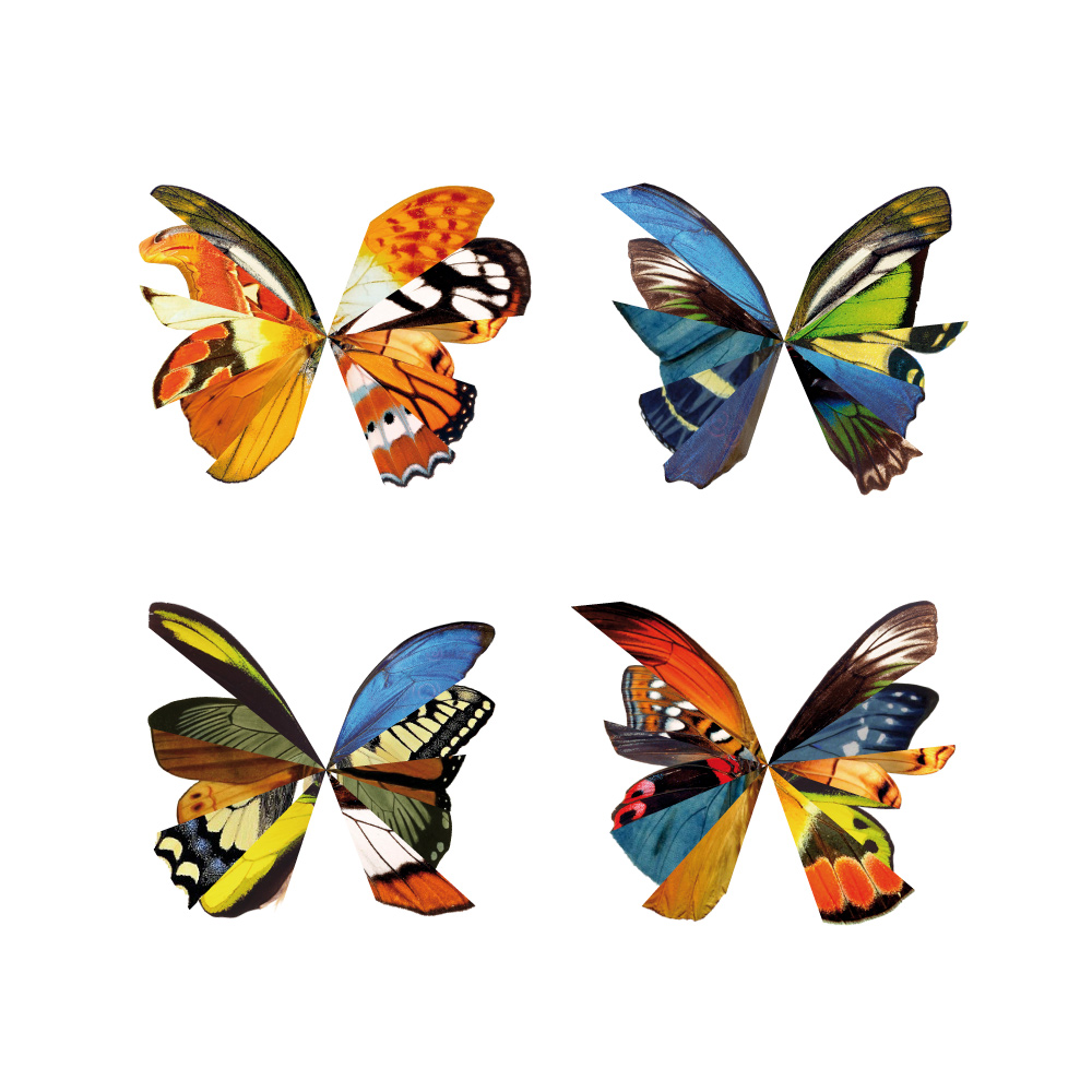 Wings 2