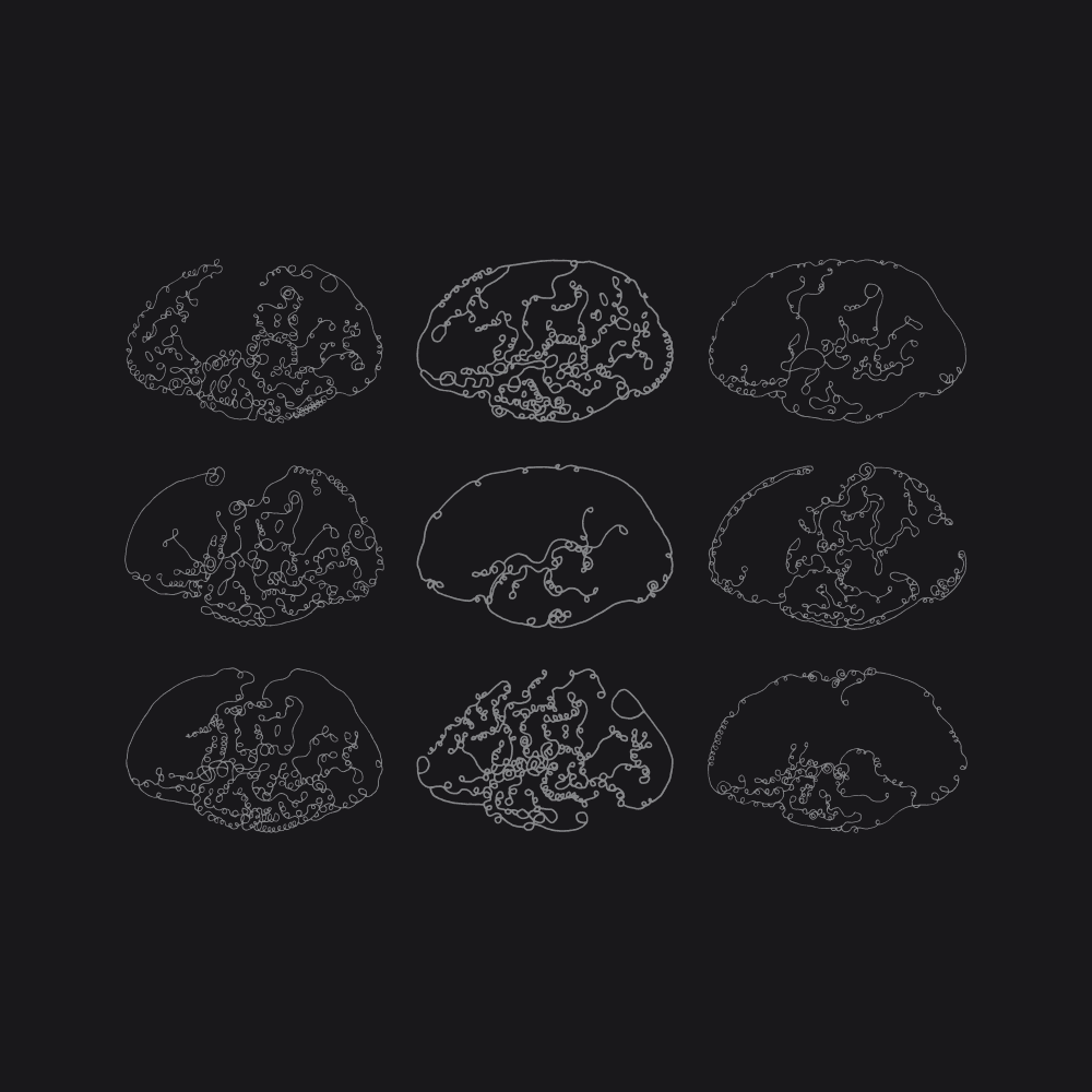 9 cerveaux